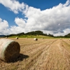 Školení pro agronomy podzim 2024